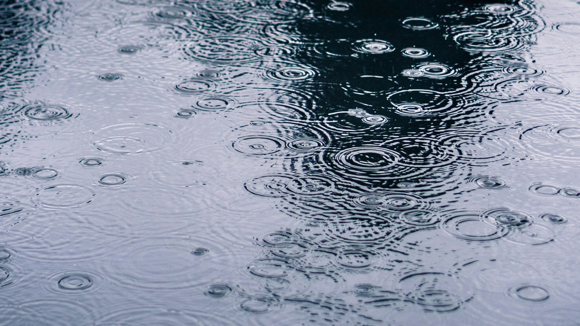 Rain drops rippling in a puddle on a dark, rainy day